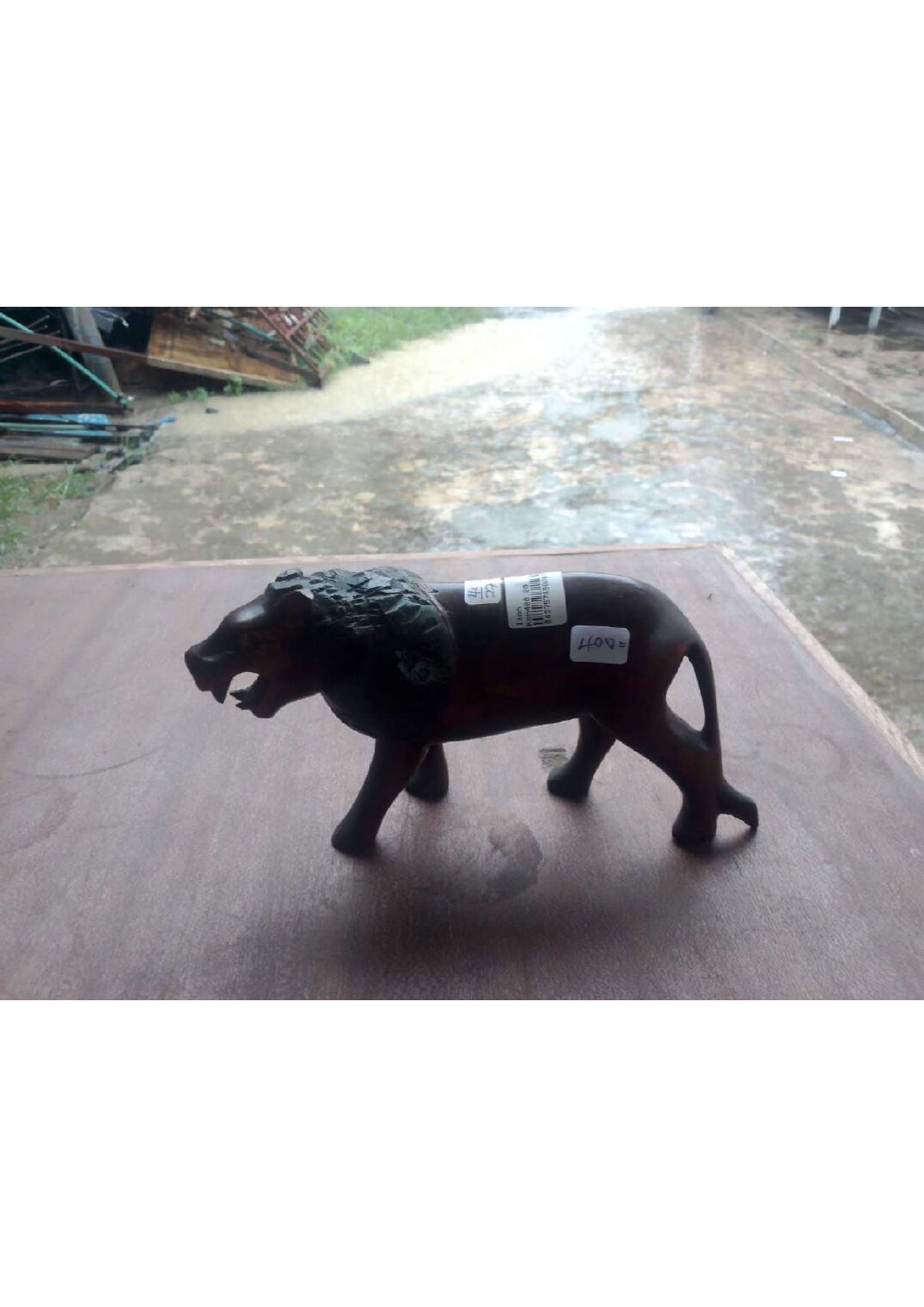 Walking Lion