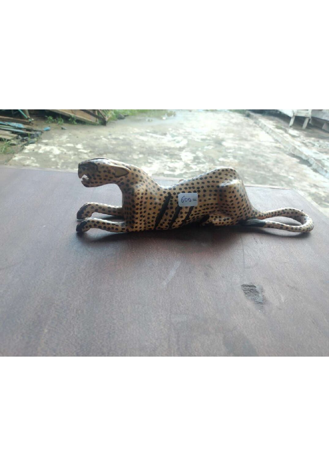 Crouching Cheetah